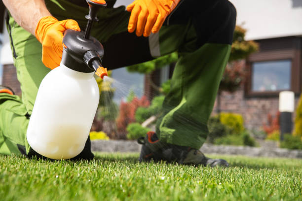 Flea Control Services in Armonk, NY