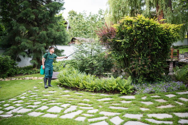 Best Wasp Removal Services  in Armonk, NY