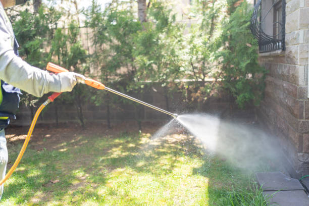 Bird Control in Armonk, NY