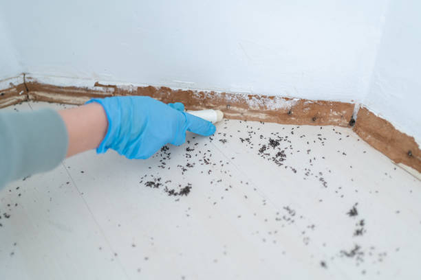 Best Pest Inspection Near Me  in Armonk, NY