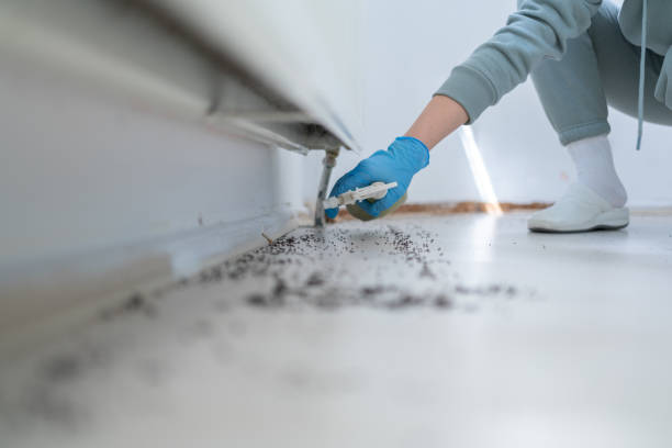 Best Local Pest Control Services  in Armonk, NY