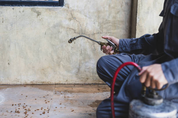 Best Mosquito Control Services  in Armonk, NY
